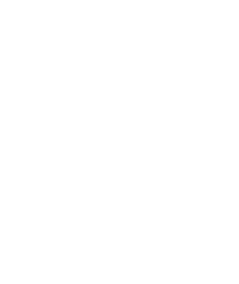 Fallen World